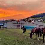 Ferme Equestre - Vue Unique Sur Les Chevaux *