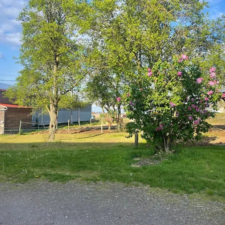 Ferme Equestre - Vue Unique Sur Les Chevaux *