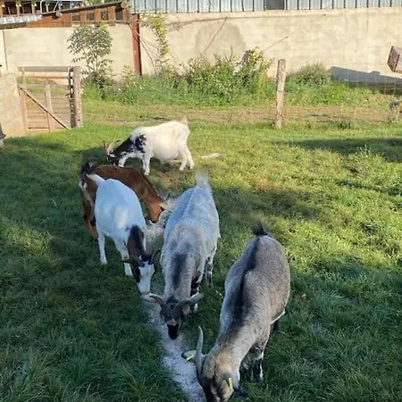 Nyaraló Ferme Equestre - Vue Unique Sur Les Chevaux *