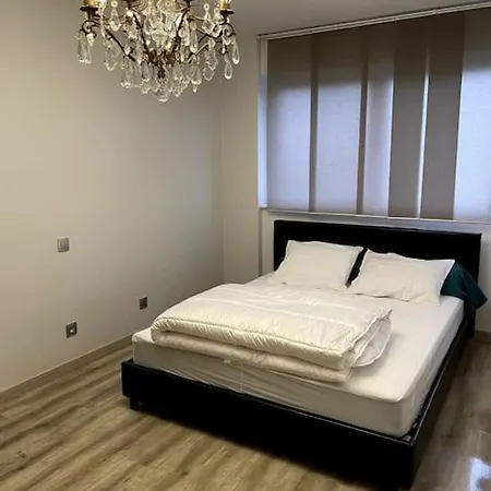 Ferme Equestre - Vue Unique Sur Les Chevaux Nyaraló Wangen