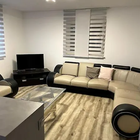 Ferme Equestre - Vue Unique Sur Les Chevaux