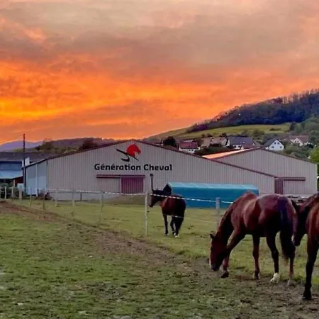 Ferme Equestre - Vue Unique Sur Les Chevaux *