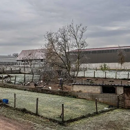 Ferme Equestre - Vue Unique Sur Les Chevaux Tatil Evi *