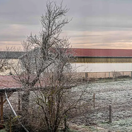 Ferme Equestre - Vue Unique Sur Les Chevaux