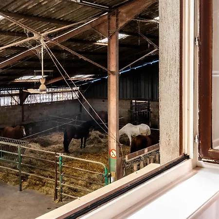 Nyaraló Ferme Equestre - Vue Unique Sur Les Chevaux *